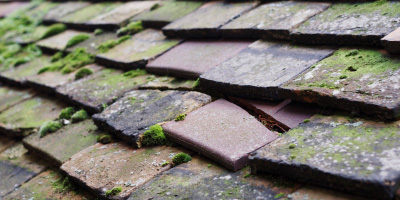 Sandy roof repair costs
